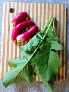 How to Pickle Radishes (With Recipe Variations) Image